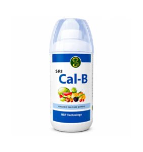 SRI Cal-B