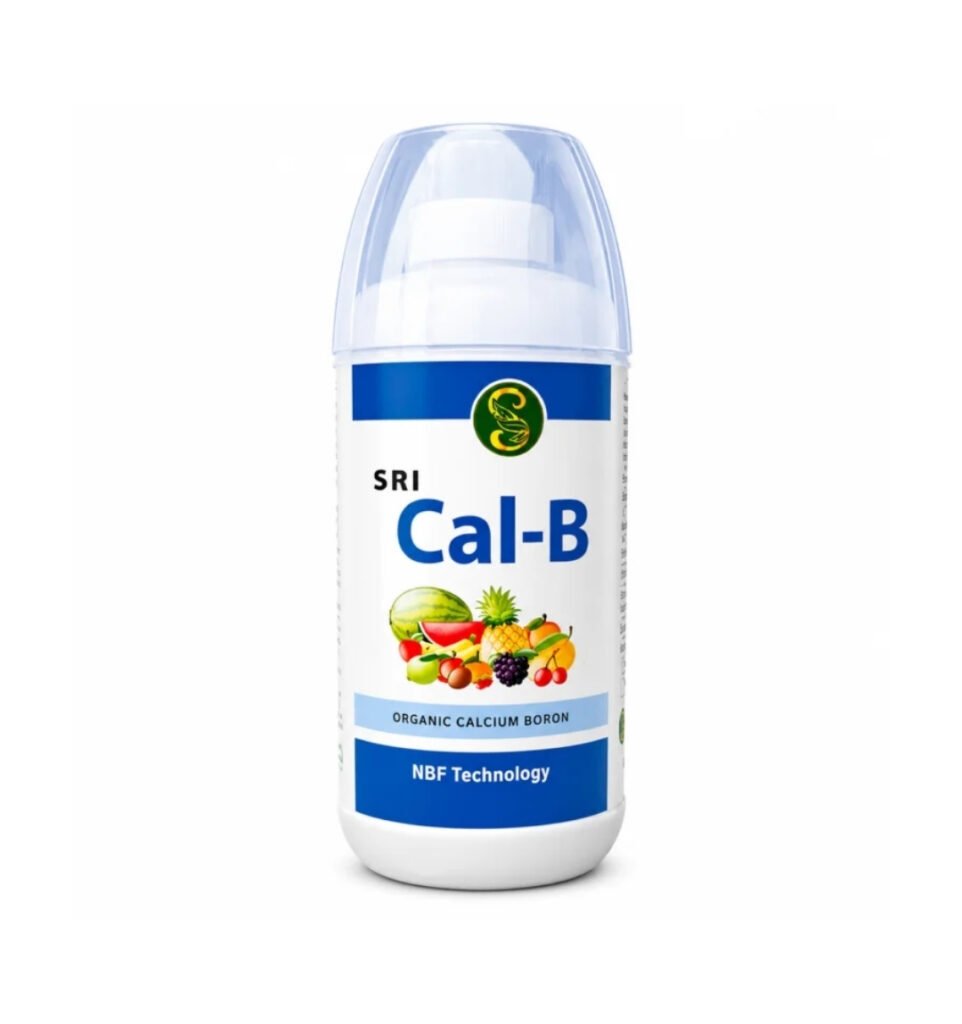 SRI Cal-B