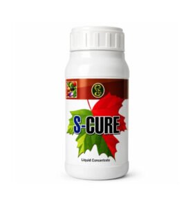 S-CURE