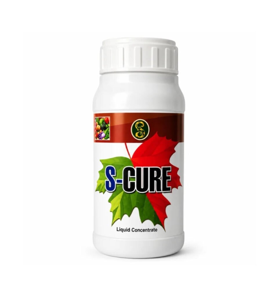 S-CURE