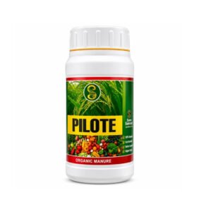 Pilote